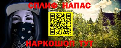 Альфа ПВП Пугачёв