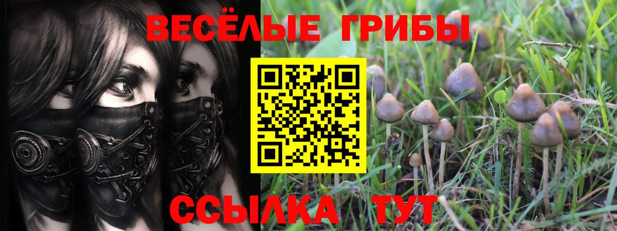 Псилоцибиновые грибы MAGIC MUSHROOMS Сердобск